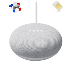 Assistant vocal google nest mini micro GSM 2