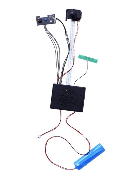 Module Camera wifi 110 ° à bricoler - Full HD et Détection PIR - 6 moi...