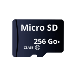 Carte mémoire Micro SD 256 Go - Securvision