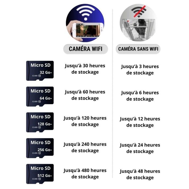 Carte mémoire Micro SD 256 Go - Securvision