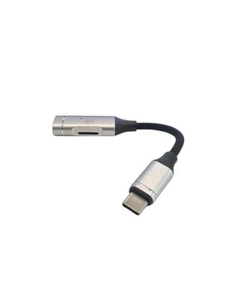 Adaptateur 2en1 OTG USB-C + carte SD pour caméras et dictaphones