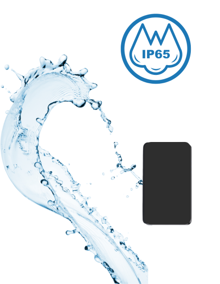 Tracker GPS avec Micro espion enregistreur - Détection de mouvement - Longue autonomie