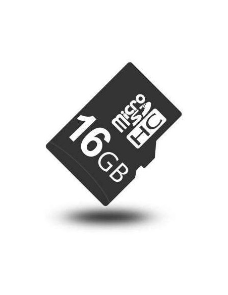 Carte mémoire Micro SD 16 Go - Securvision